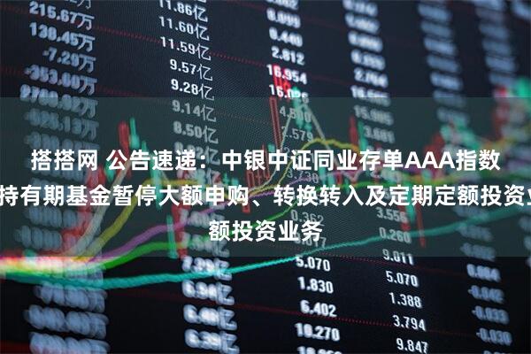 搭搭网 公告速递：中银中证同业存单AAA指数7天持有期基金暂停大额申购、转换转入及定期定额投资业务