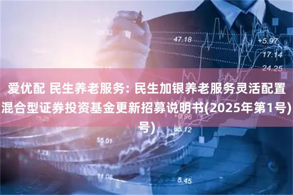 爱优配 民生养老服务: 民生加银养老服务灵活配置混合型证券投资基金更新招募说明书(2025年第1号)