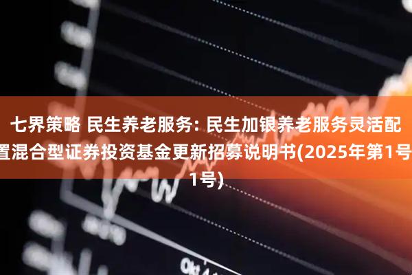 七界策略 民生养老服务: 民生加银养老服务灵活配置混合型证券投资基金更新招募说明书(2025年第1号)