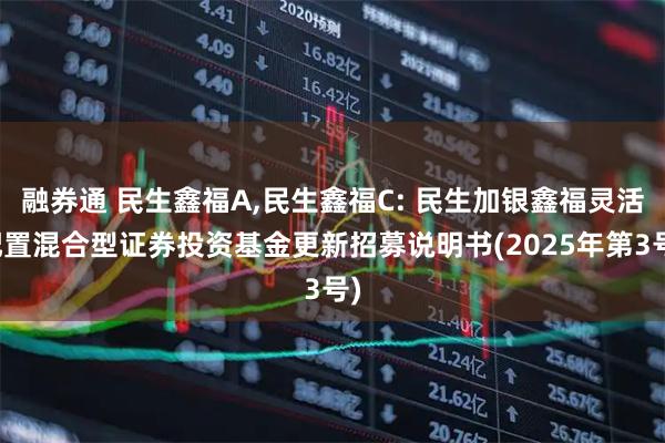 融券通 民生鑫福A,民生鑫福C: 民生加银鑫福灵活配置混合型证券投资基金更新招募说明书(2025年第3号)