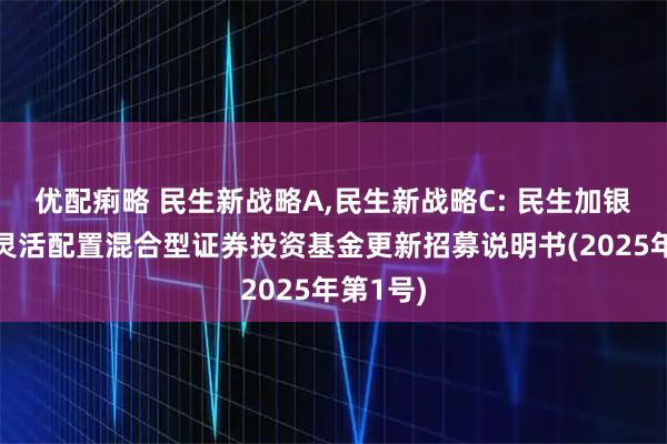 优配痢略 民生新战略A,民生新战略C: 民生加银新战略灵活配置混合型证券投资基金更新招募说明书(2025年第1号)