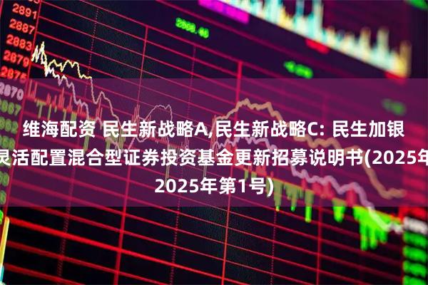 维海配资 民生新战略A,民生新战略C: 民生加银新战略灵活配置混合型证券投资基金更新招募说明书(2025年第1号)