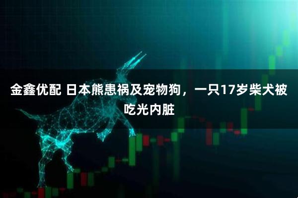 金鑫优配 日本熊患祸及宠物狗，一只17岁柴犬被吃光内脏